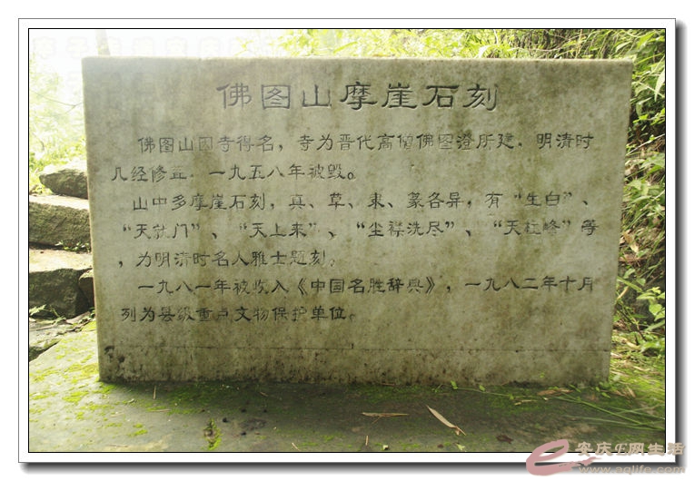 20140719 269.jpg