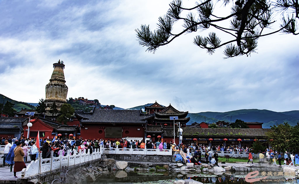 DSC_1993-00.jpg