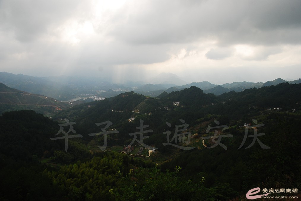 DSC_4802.jpg