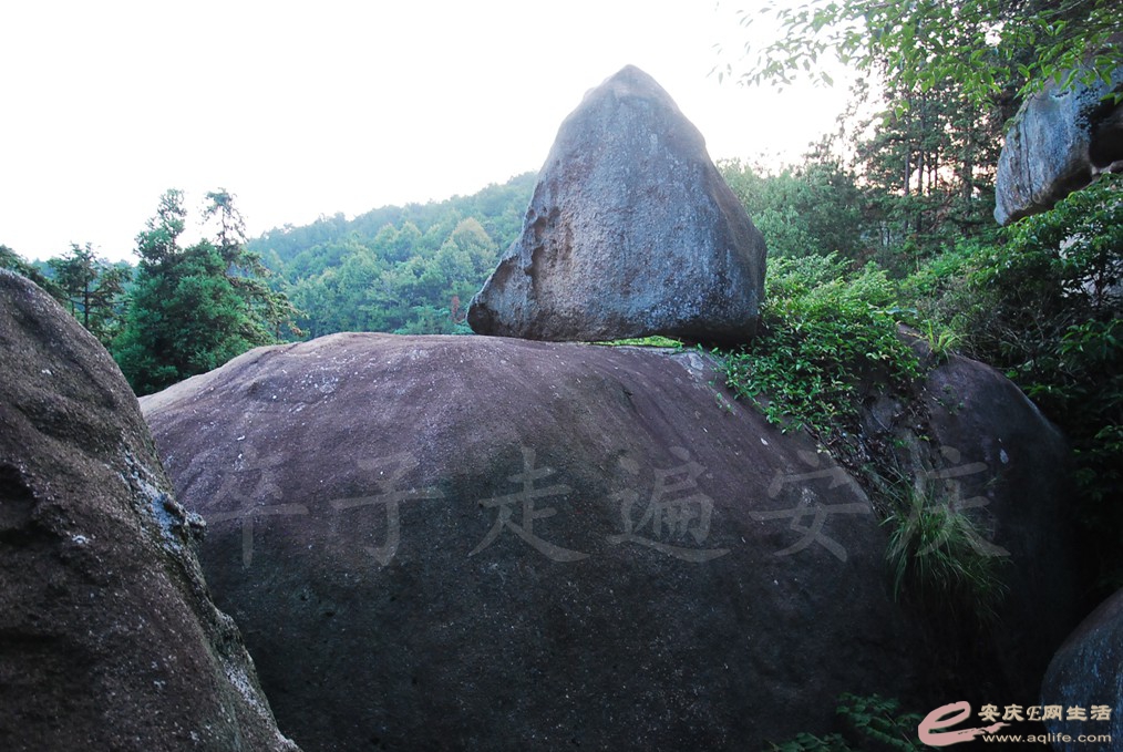 DSC_4809.jpg