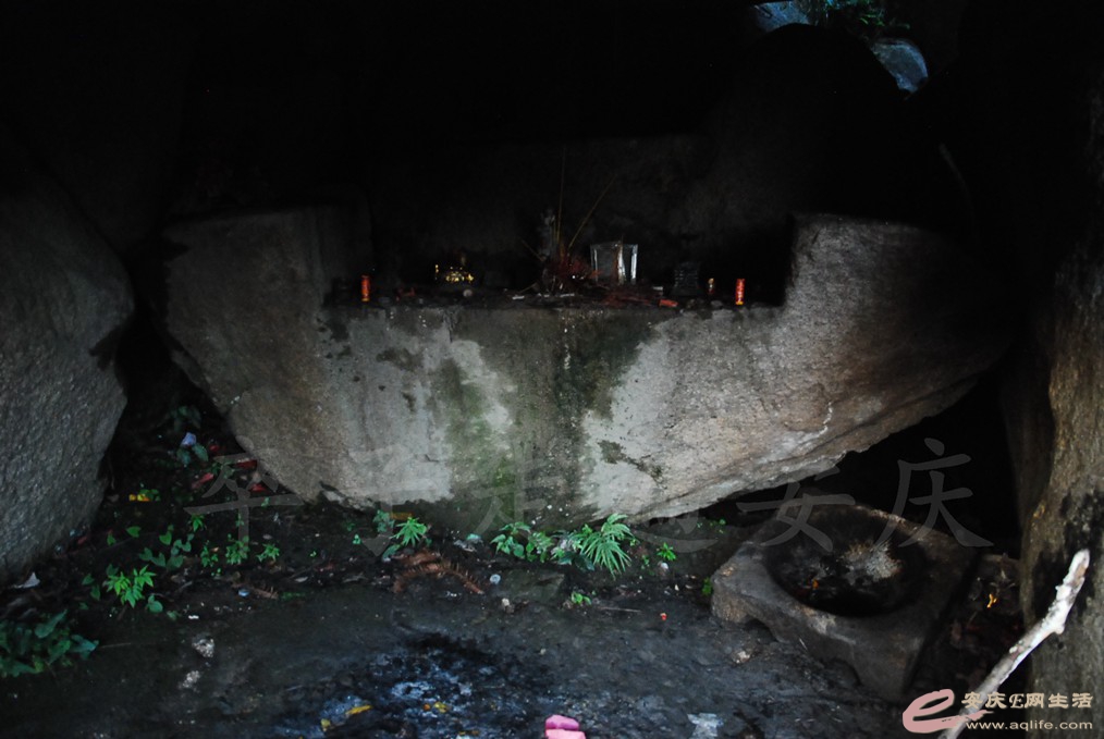 DSC_4814.jpg