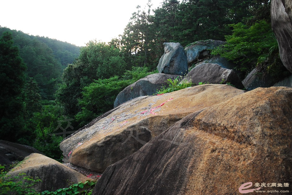 DSC_4816.jpg