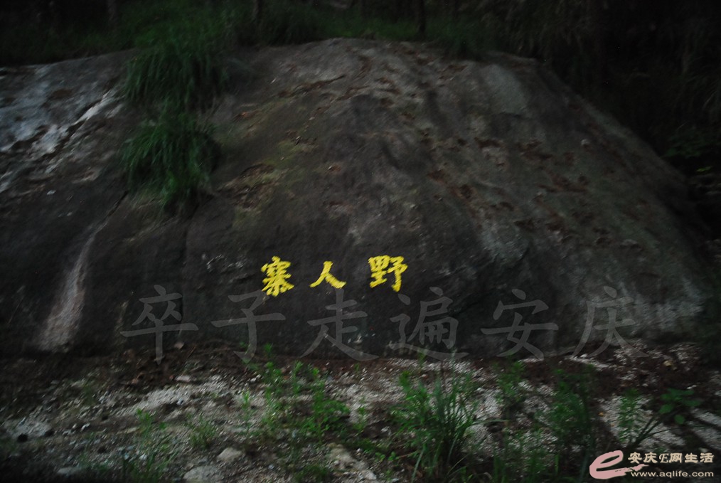 DSC_4824.jpg