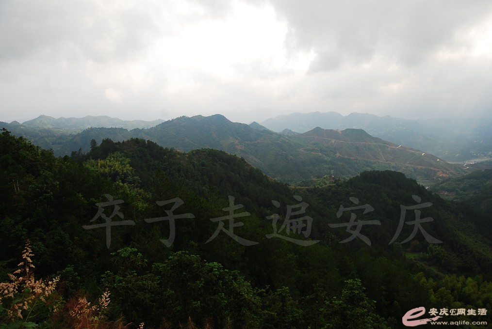DSC_4965.jpg