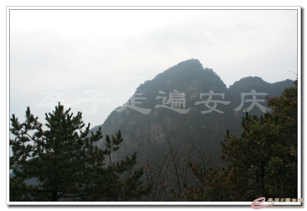 201501001 1941.jpg
