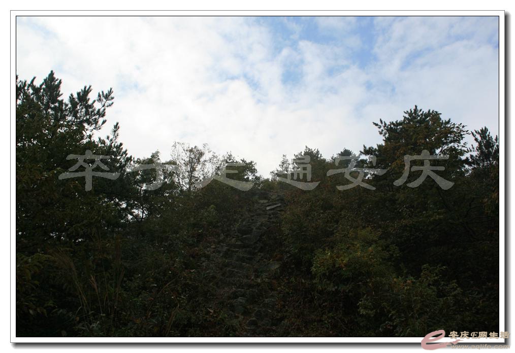 201501001 1945.jpg