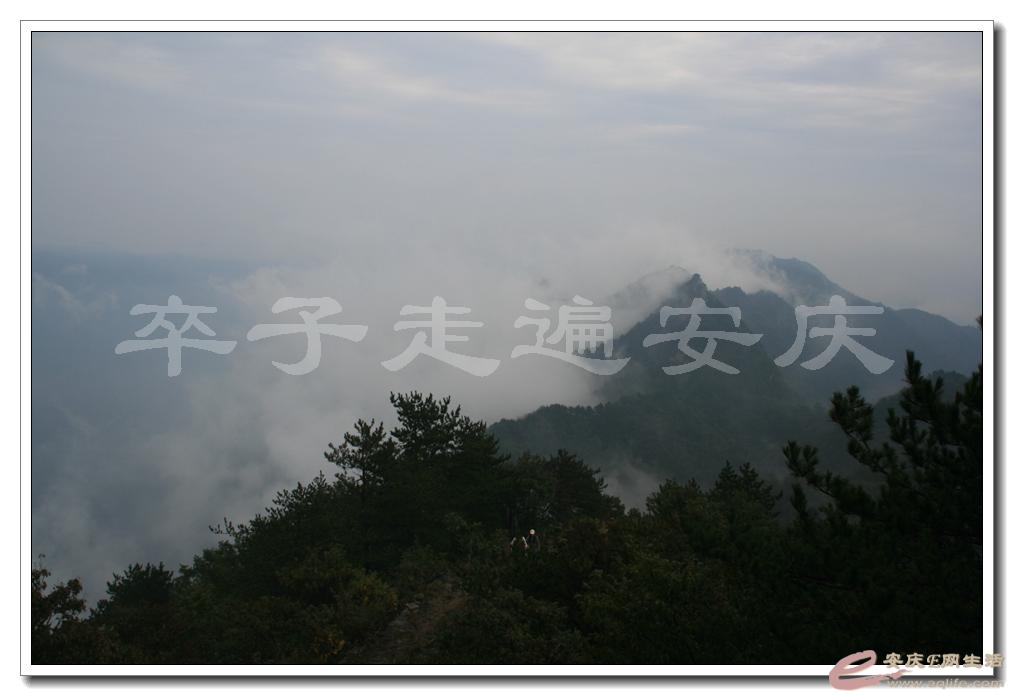 201501001 1947.jpg