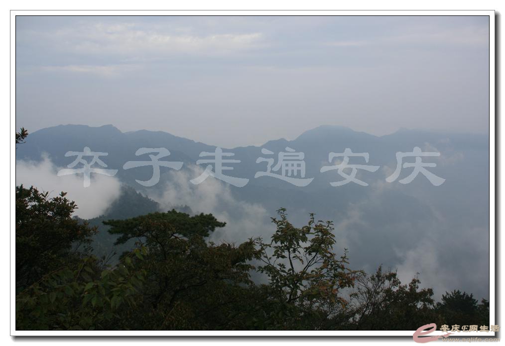 201501001 1948.jpg