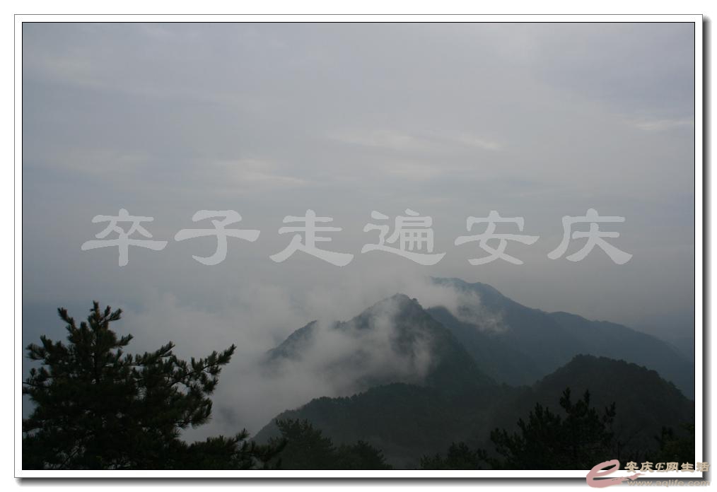 201501001 1951.jpg