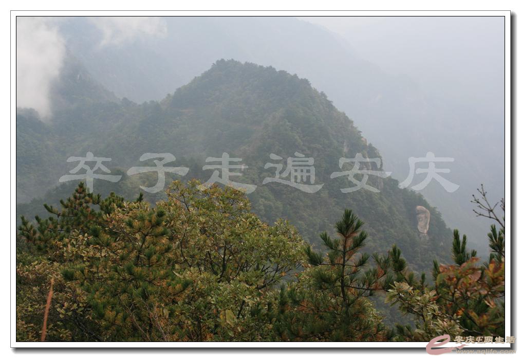 201501001 1952.jpg