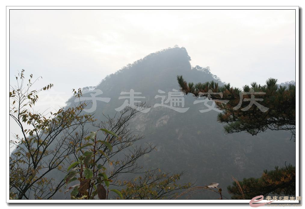 201501001 1956.jpg