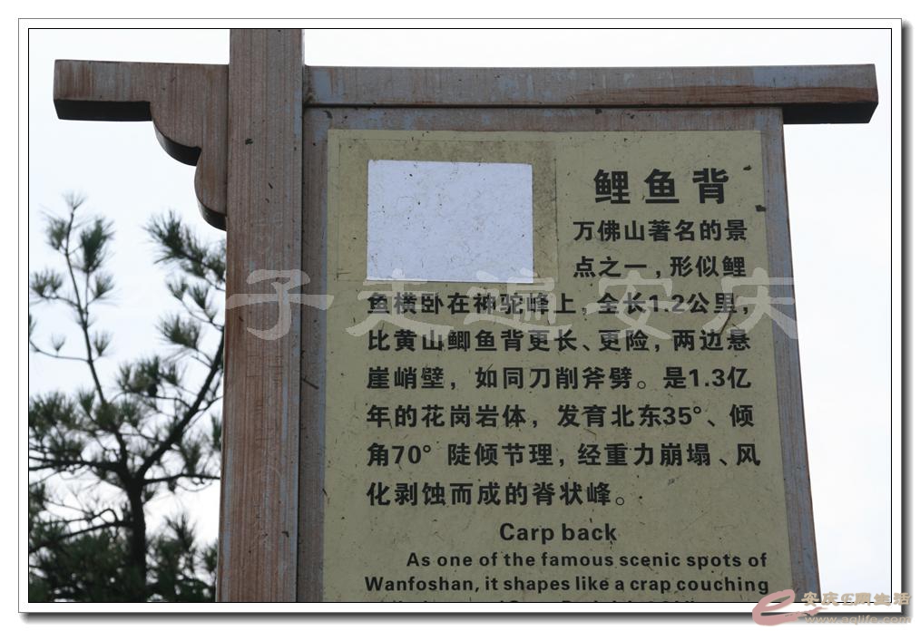 201501001 1958.jpg