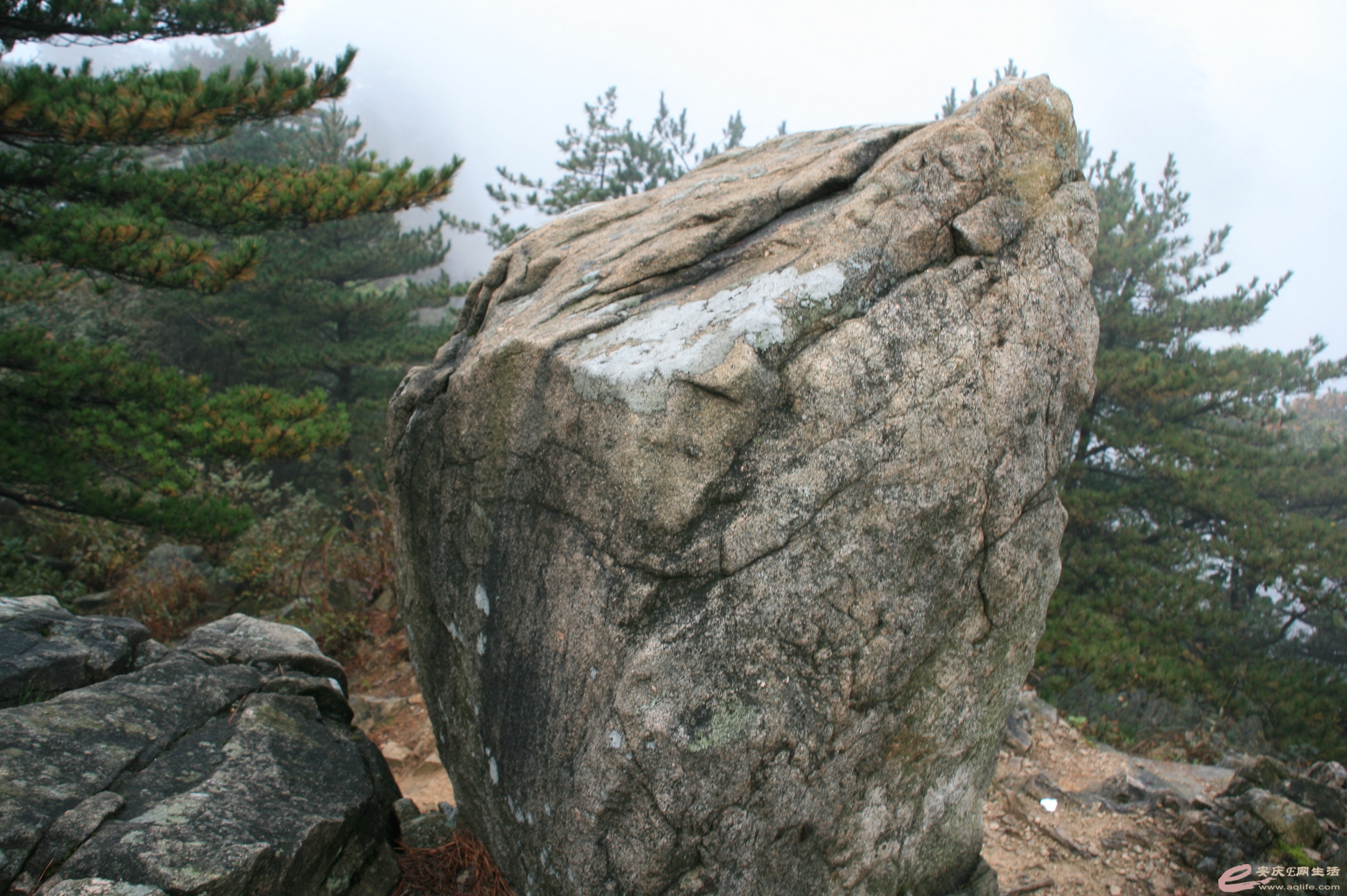 201501001 2078.jpg