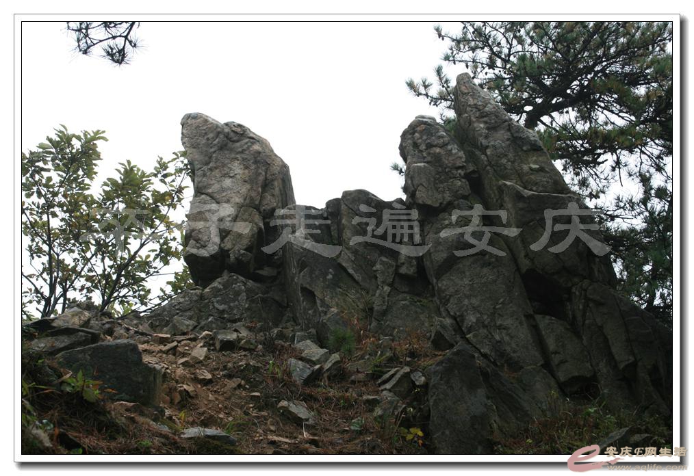 201501001 2096.jpg
