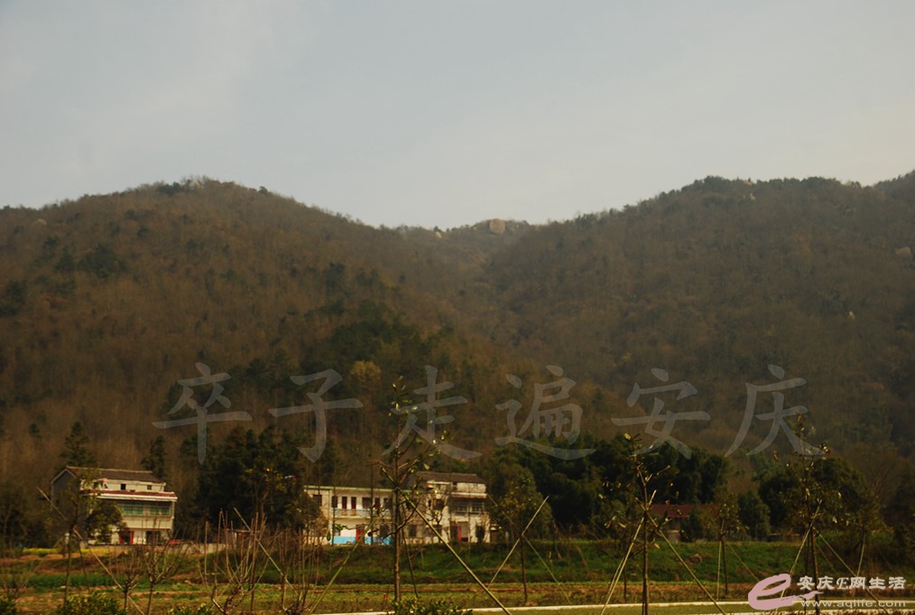 DSC_2840.jpg