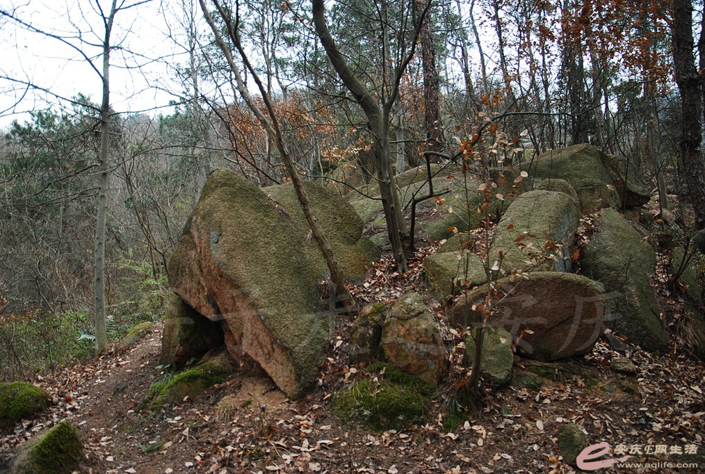 DSC_2847.jpg