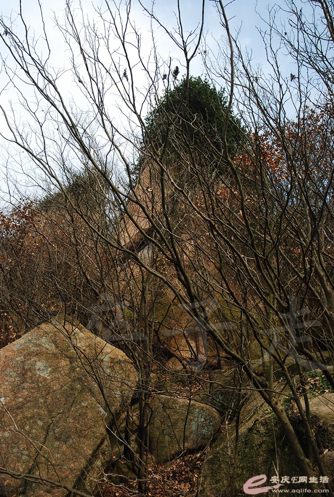 DSC_2913.jpg