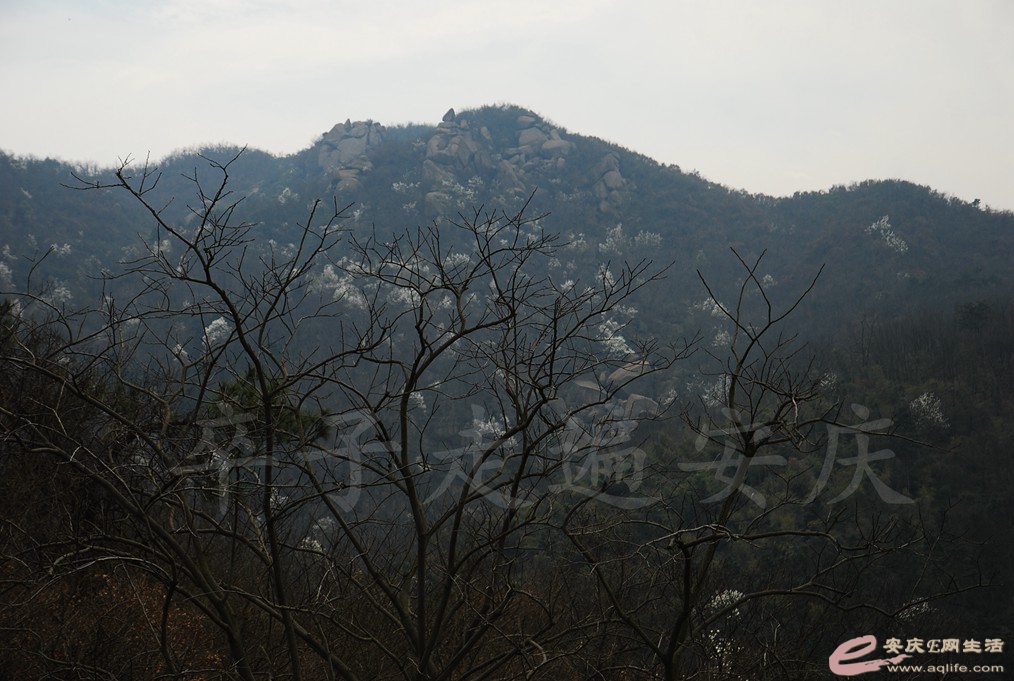 DSC_2960.jpg