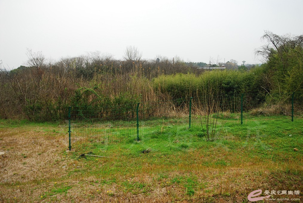 DSC_2402.jpg