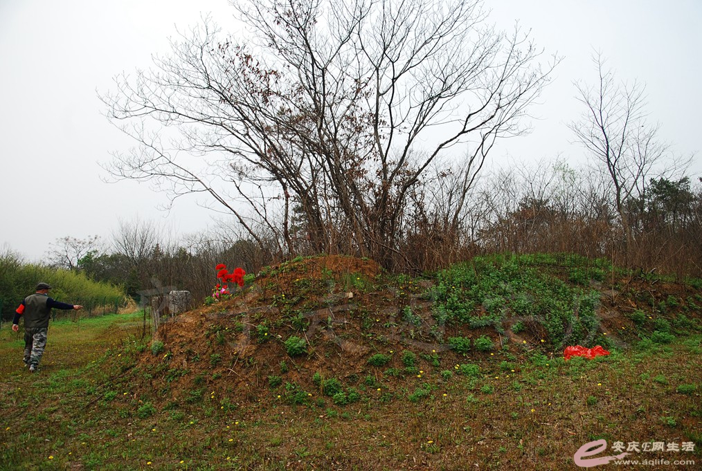 DSC_2404.jpg