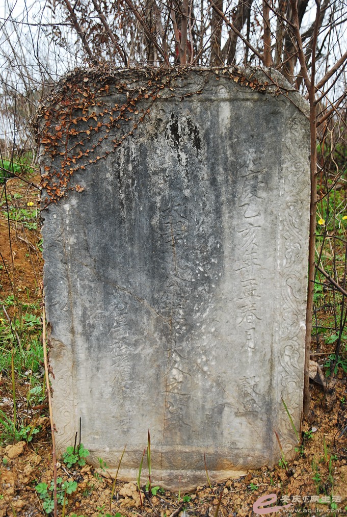 DSC_2407.jpg