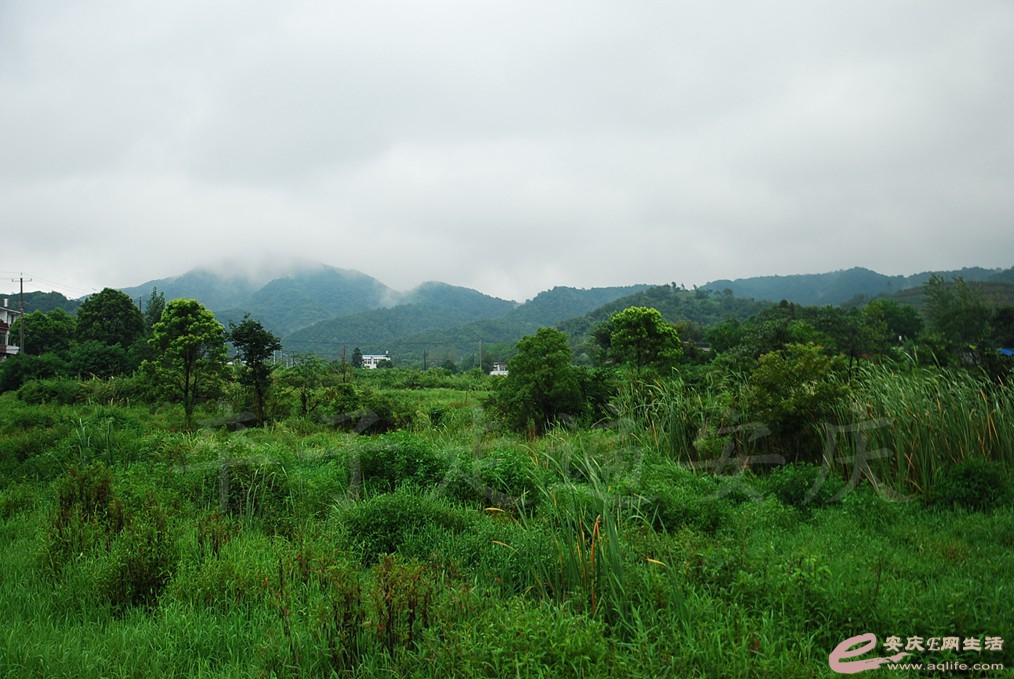 DSC_7300.jpg