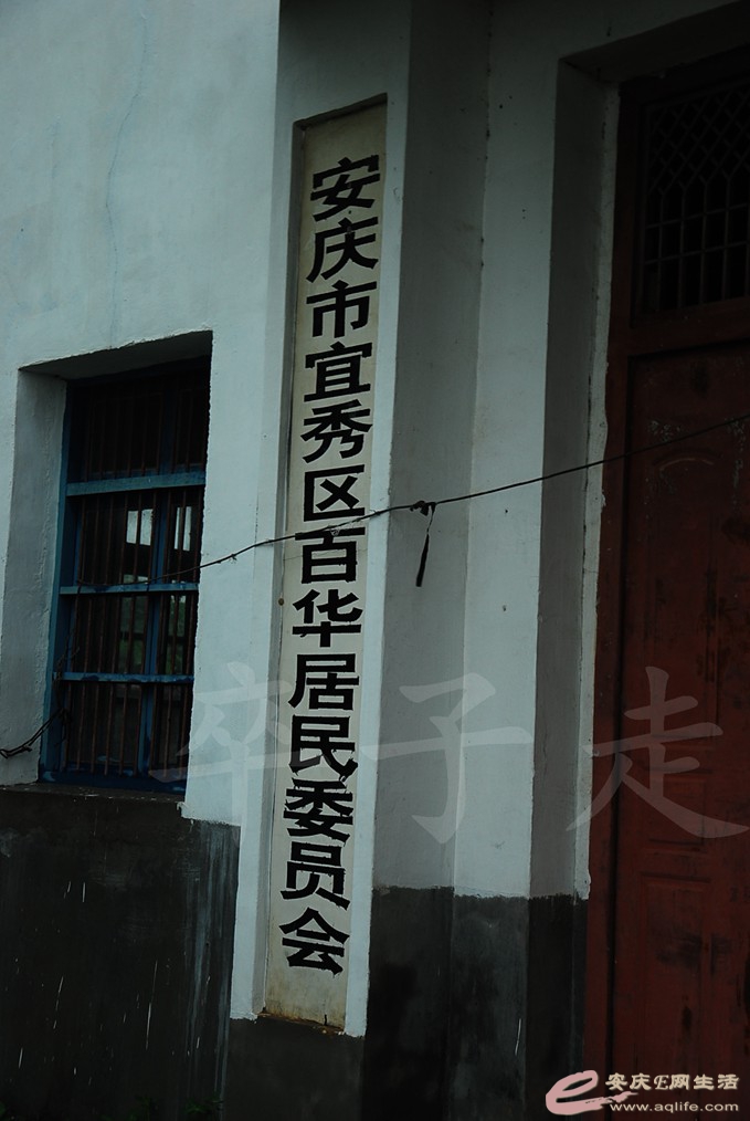 DSC_7304.jpg