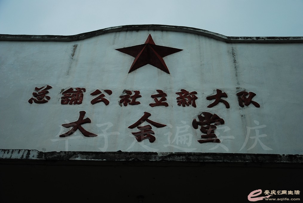 DSC_7305.jpg