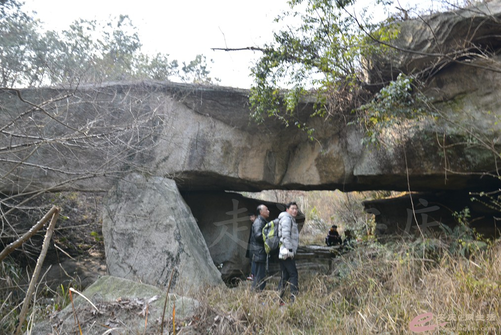 20170131 168.jpg