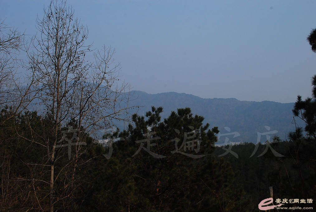DSC_2682.jpg