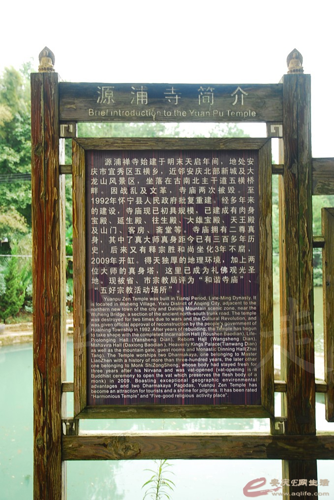 DSC_5052.jpg