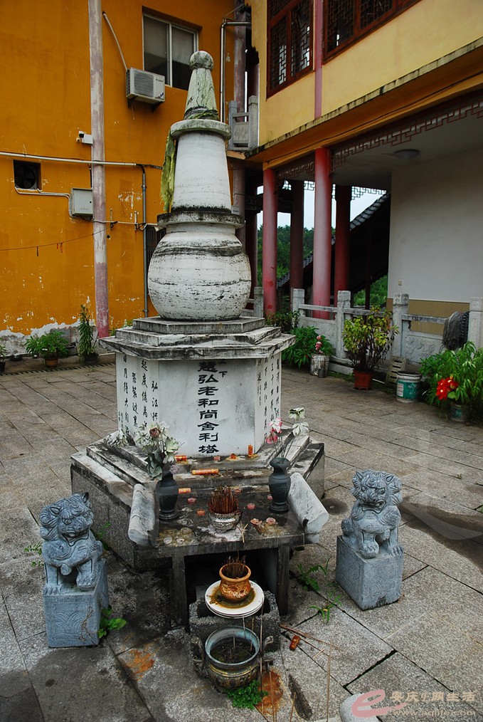 DSC_5081.jpg