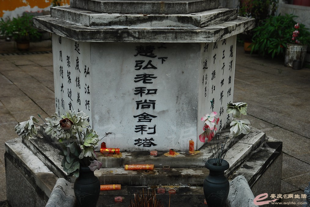 DSC_5082.jpg