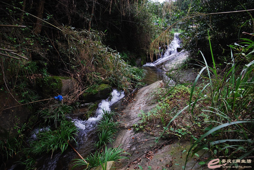 DSC_5269.jpg