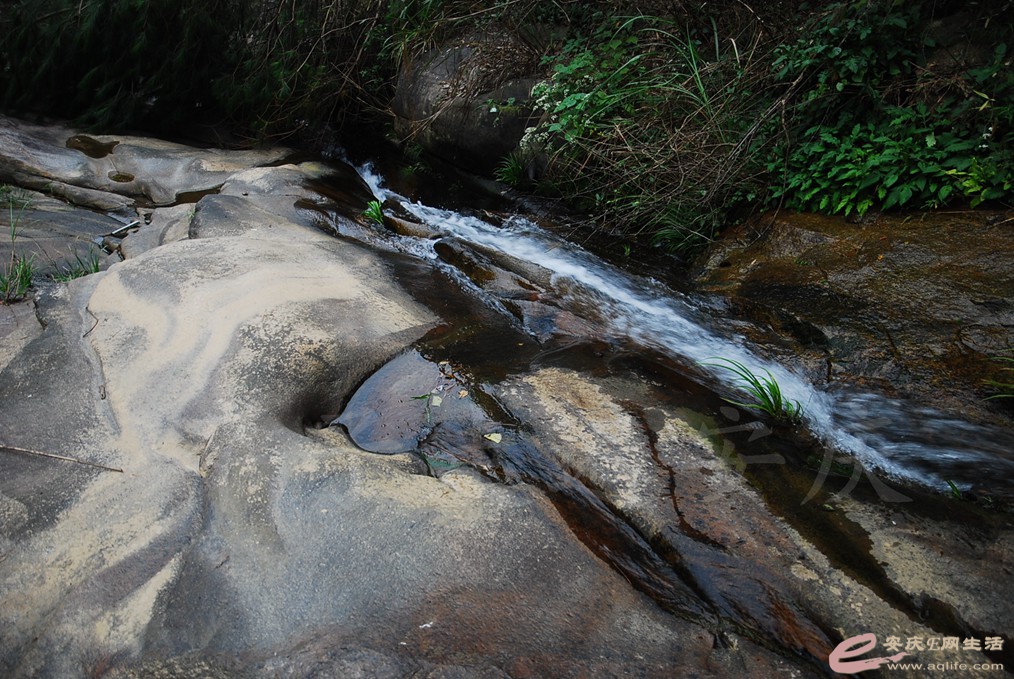 DSC_5289.jpg