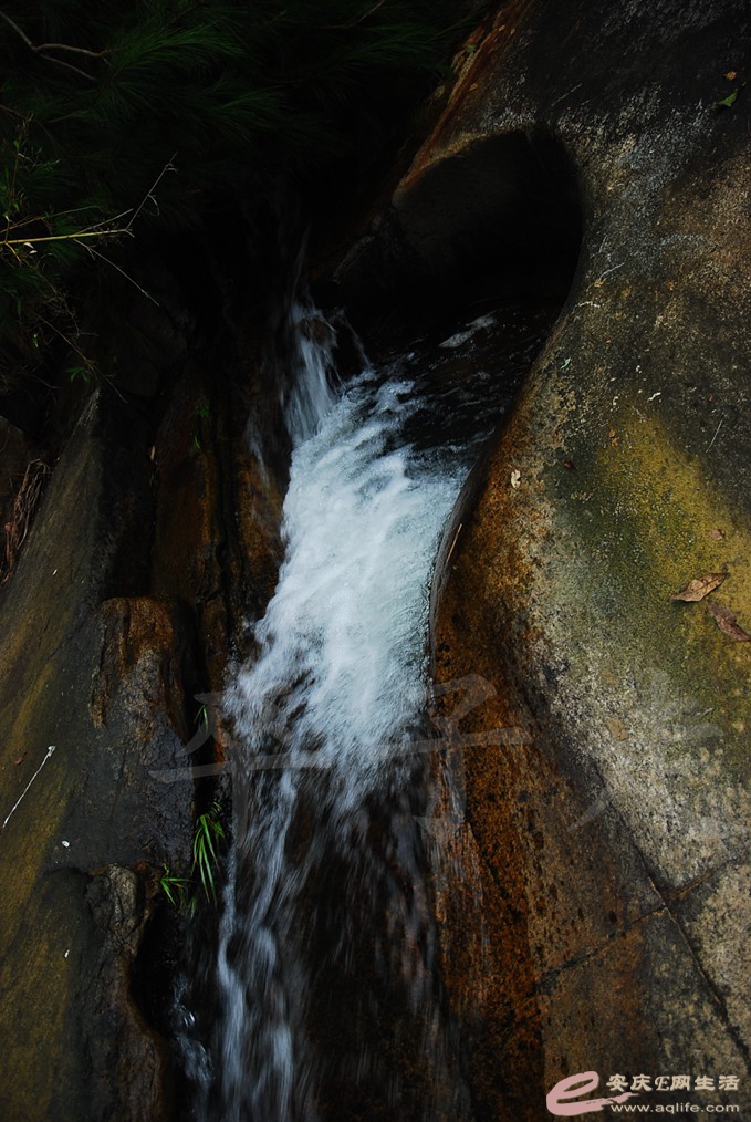DSC_5300.jpg