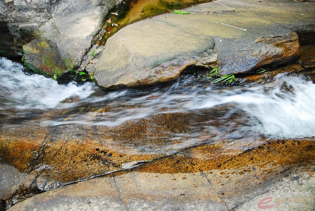 DSC_5301.jpg