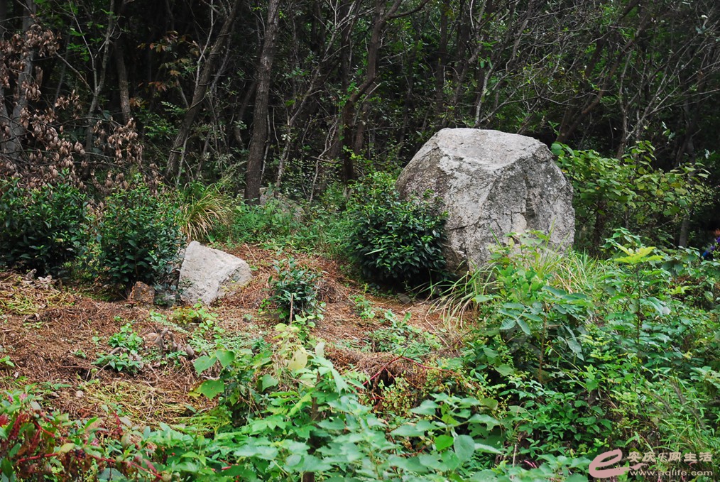 DSC_6043.jpg
