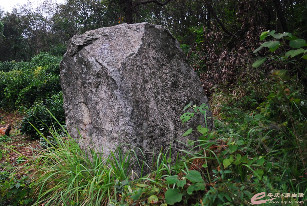 DSC_6077.jpg