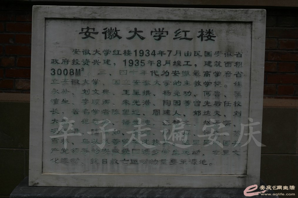 20170416 028.jpg