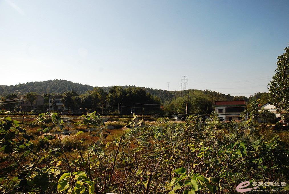 DSC_6022.jpg