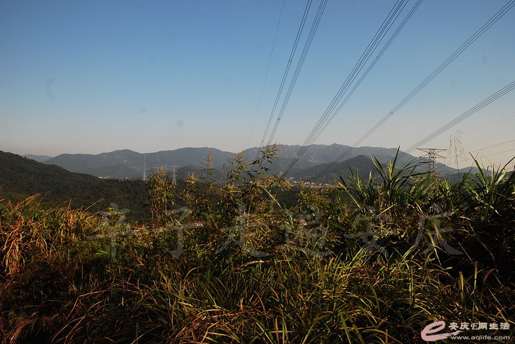 DSC_6113.jpg