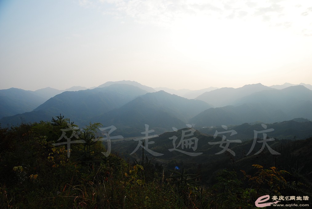 DSC_0763.jpg
