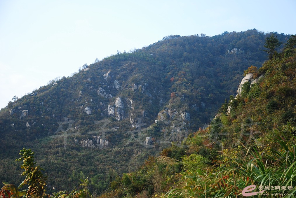 DSC_0768.jpg