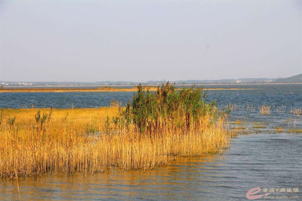 IMG_7208_ͼ.jpg
