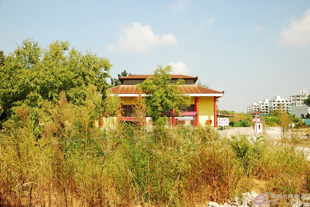 DSC_8732.jpg