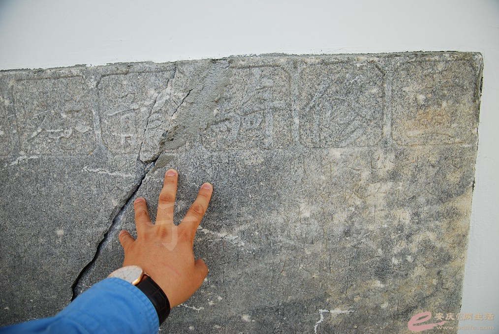 DSC_8748.jpg