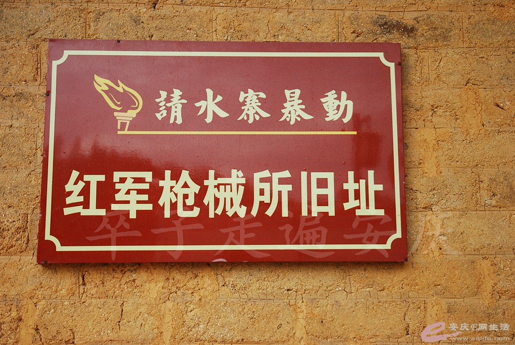 DSC_6137.jpg