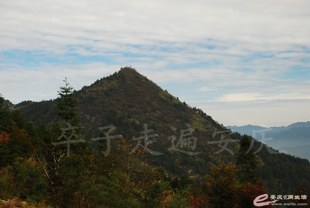 DSC_6181.jpg
