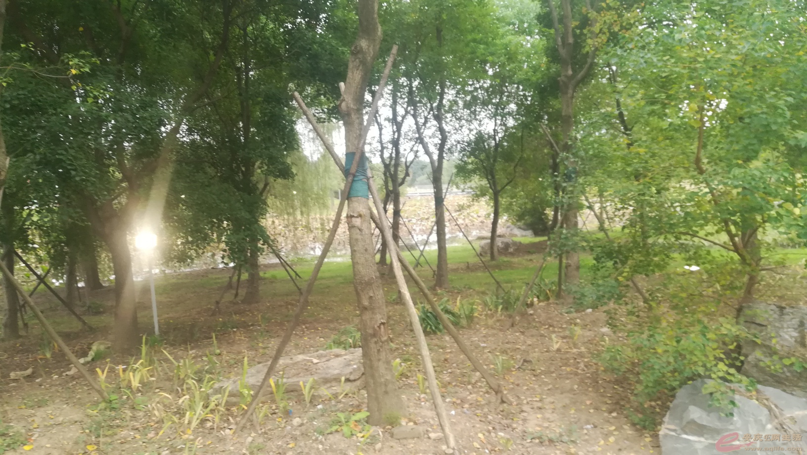 1603700121522598.jpeg
